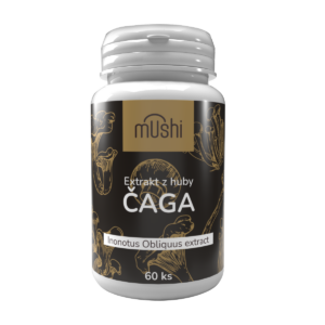 Extrakt z huby Čaga