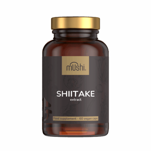 Shiitake