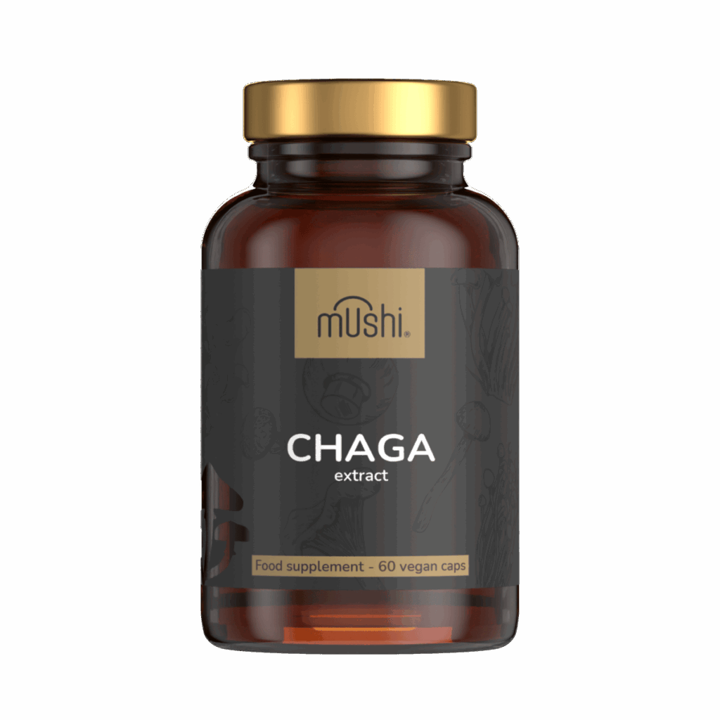 extrakt z huby čaga