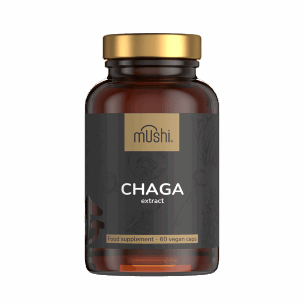 extrakt z huby čaga