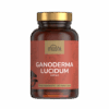 reishi_ganoderma