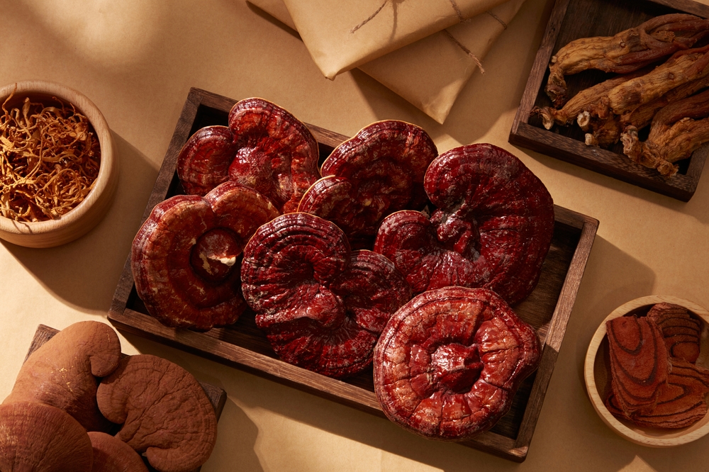 Extrakt z huby BIO Reishi