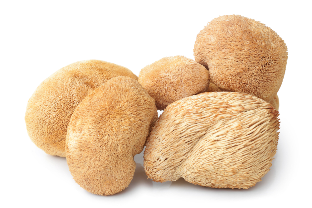 Extrakt z huby BIO Hericium