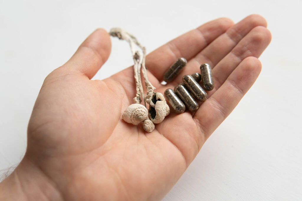 Krvný obeh: príznaky, liečba