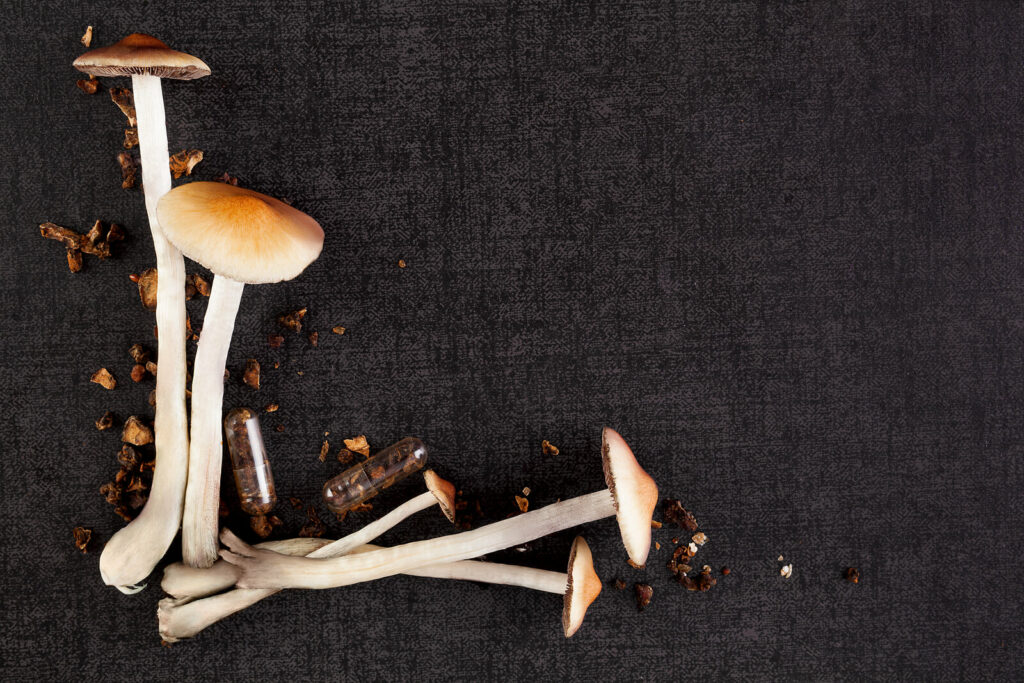 liečivé huby a rakovina