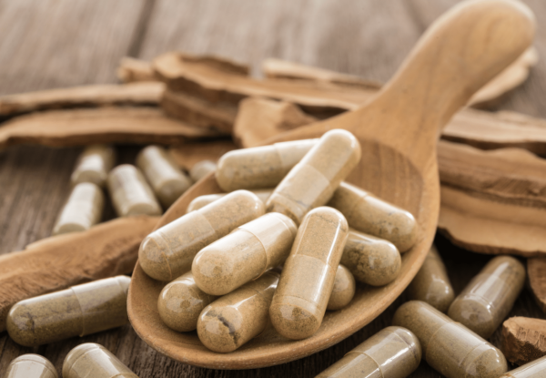 Polysacharidy v hubách