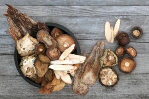 Liečivé huby proti vírusom