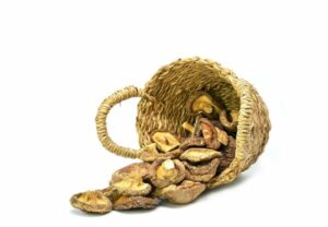 Shiitake- liečivé účinky. Čo dokáže lentinán?