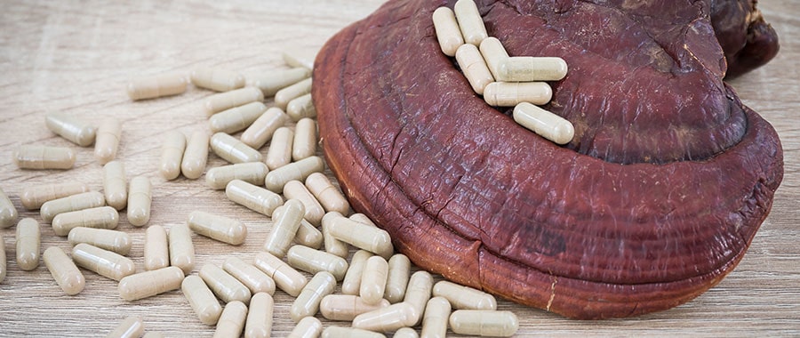 priaznivé účinky Reishi